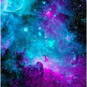 Meet your Posher, Jorge roque